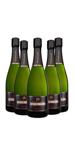 BRUT TRADITION 20+4
