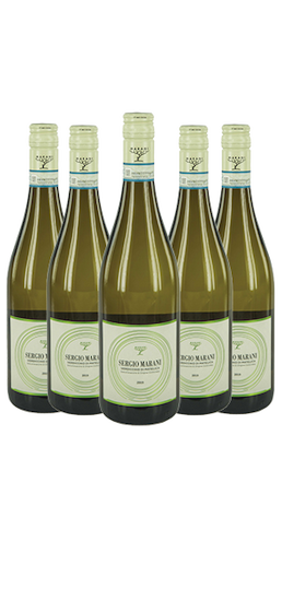 Sergio Marani Verdicchio di Matelica 20+4